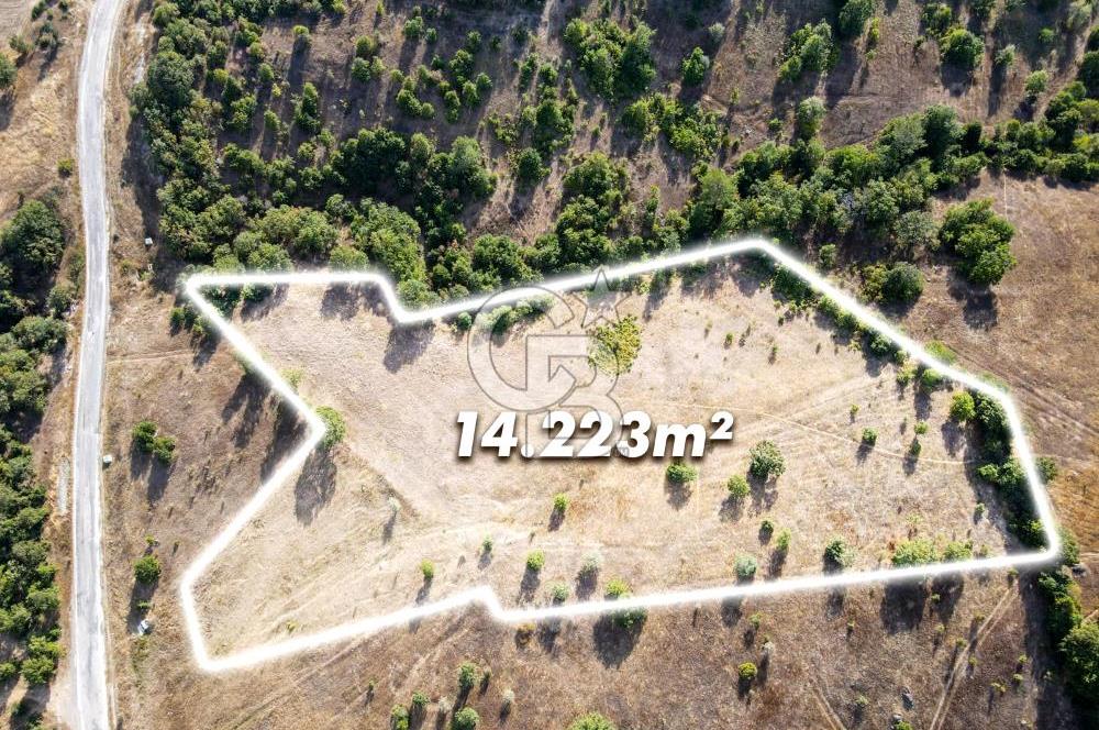 CB EAGLE'DAN DURSUNBEY KAVACIK'DA SATILIK 14.223 m² TARLA