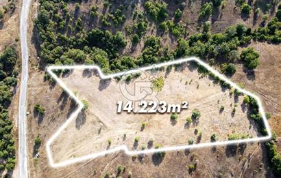 CB EAGLE'DAN DURSUNBEY KAVACIK'DA SATILIK 14.223 m² TARLA