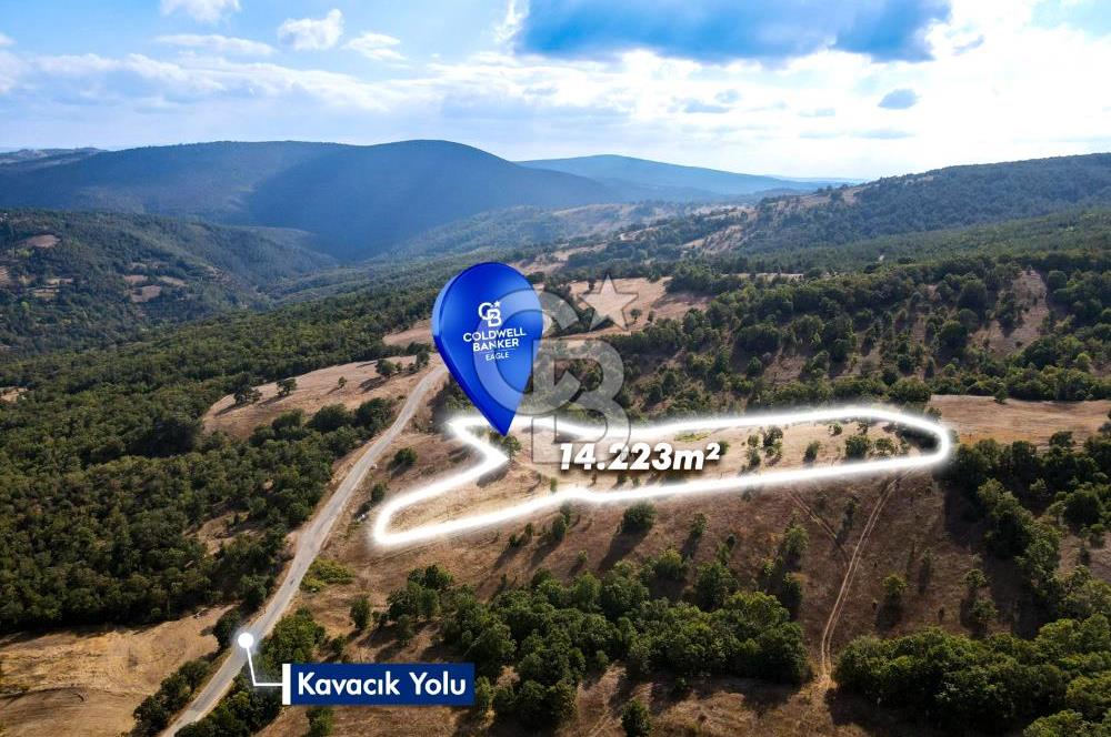 CB EAGLE'DAN DURSUNBEY KAVACIK'DA SATILIK 14.223 m² TARLA