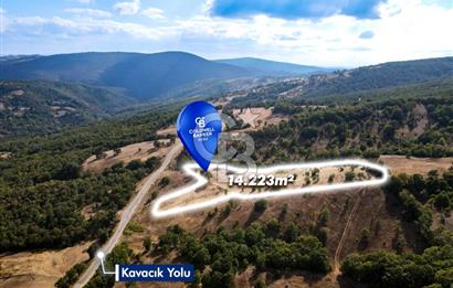 CB EAGLE'DAN DURSUNBEY KAVACIK'DA SATILIK 14.223 m² TARLA
