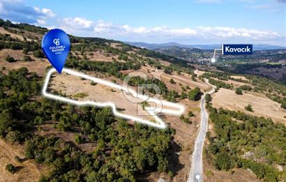 CB EAGLE'DAN DURSUNBEY KAVACIK'DA SATILIK 14.223 m² TARLA