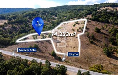 CB EAGLE'DAN DURSUNBEY KAVACIK'DA SATILIK 14.223 m² TARLA