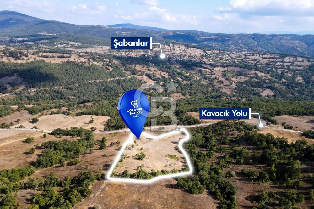 CB EAGLE'DAN DURSUNBEY KAVACIK'DA SATILIK 14.223 m² TARLA