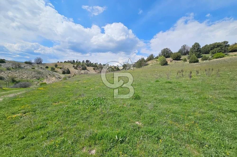 ŞOK ACİL SATILIK! SEBEN'DE KAMPÜS YAKINI 6.500 m²