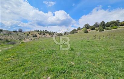 ŞOK ACİL SATILIK! SEBEN'DE KAMPÜS YAKINI 6.500 m²