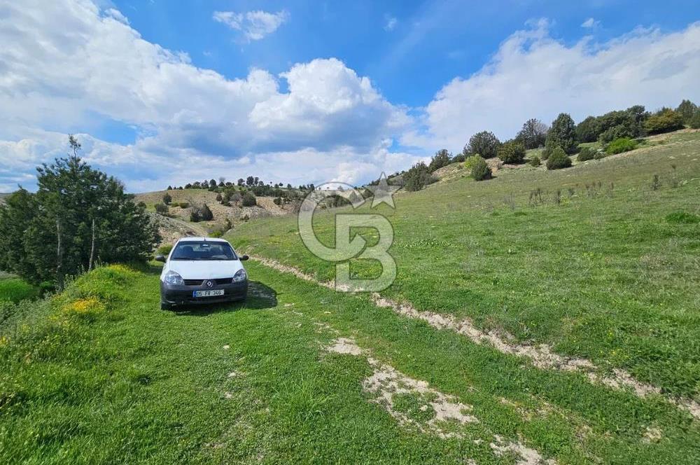 ŞOK ACİL SATILIK! SEBEN'DE KAMPÜS YAKINI 6.500 m²