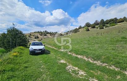 ŞOK ACİL SATILIK! SEBEN'DE KAMPÜS YAKINI 6.500 m²