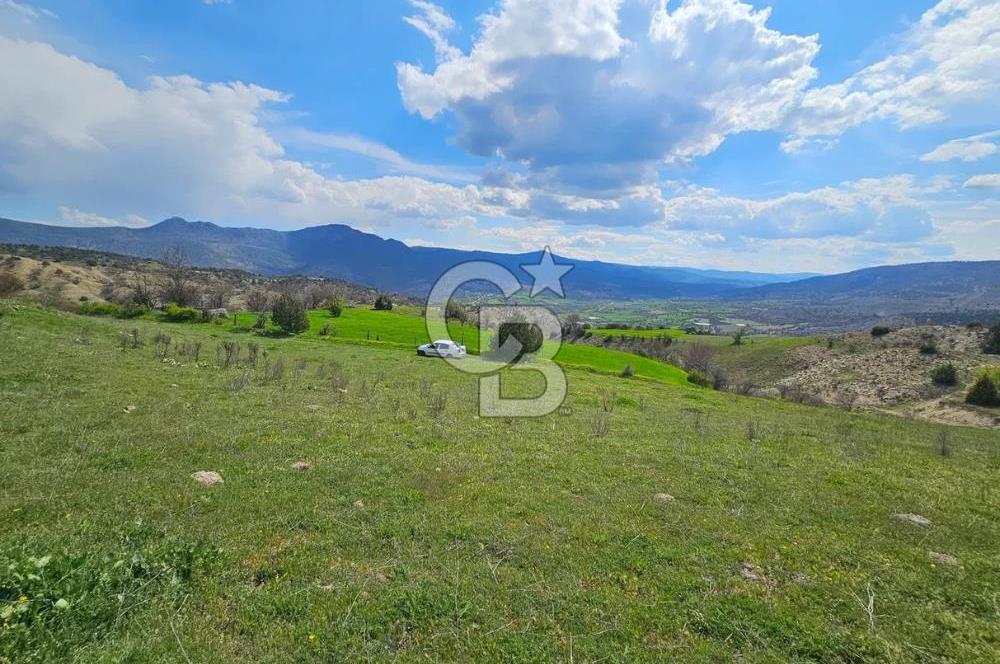 ŞOK ACİL SATILIK! SEBEN'DE KAMPÜS YAKINI 6.500 m²