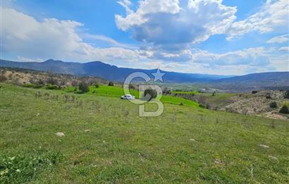 ŞOK ACİL SATILIK! SEBEN'DE KAMPÜS YAKINI 6.500 m²