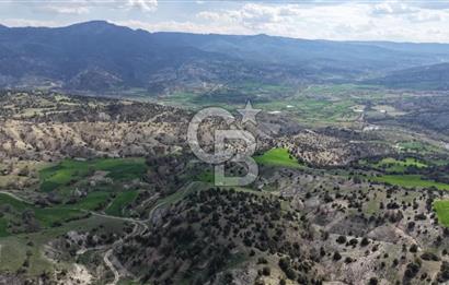 ŞOK ACİL SATILIK! SEBEN'DE KAMPÜS YAKINI 6.500 m²