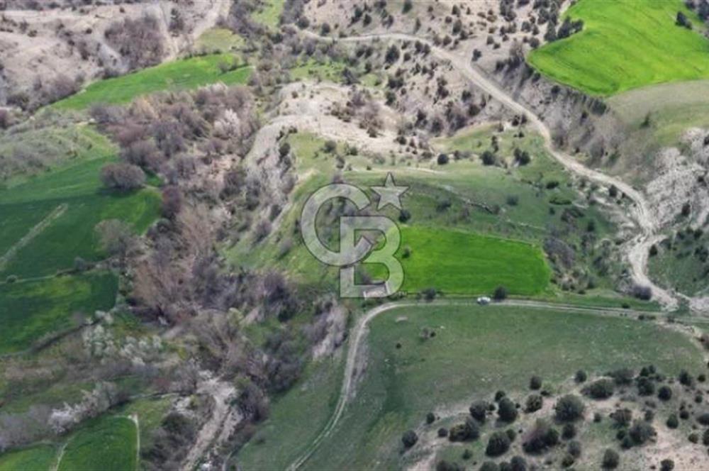 ŞOK ACİL SATILIK! SEBEN'DE KAMPÜS YAKINI 6.500 m²