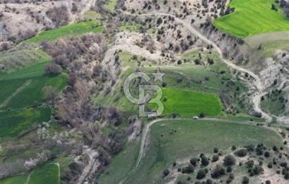 ŞOK ACİL SATILIK! SEBEN'DE KAMPÜS YAKINI 6.500 m²