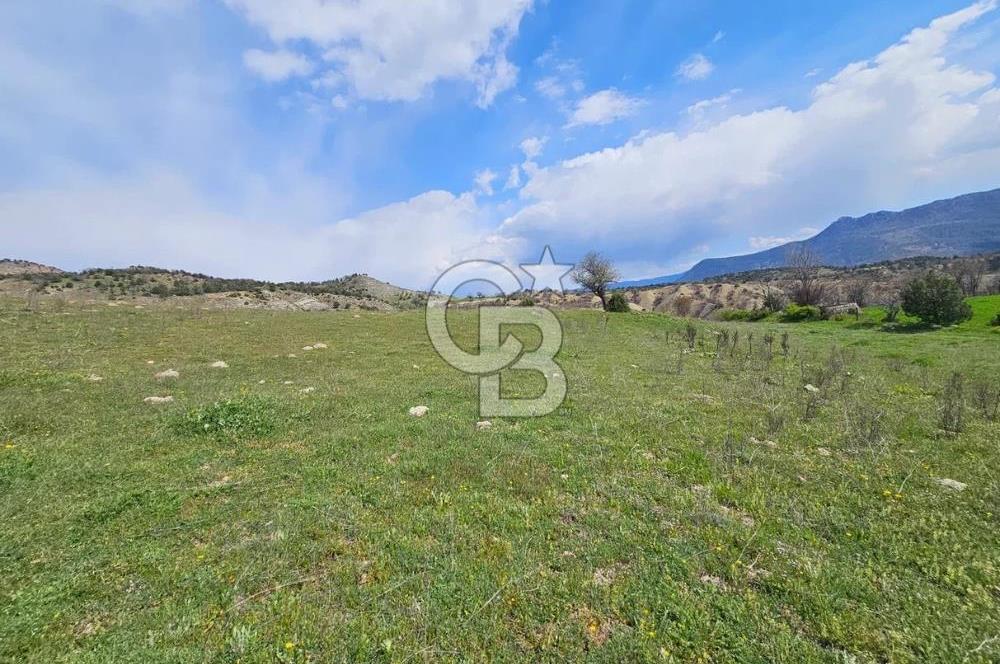 ŞOK ACİL SATILIK! SEBEN'DE KAMPÜS YAKINI 6.500 m²