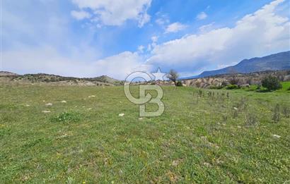 ŞOK ACİL SATILIK! SEBEN'DE KAMPÜS YAKINI 6.500 m²