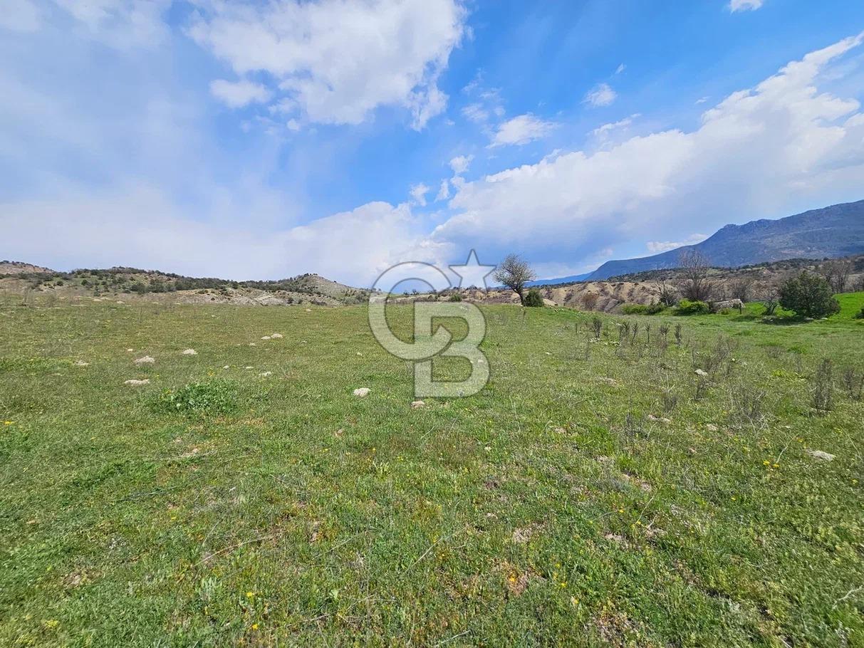 ŞOK ACİL SATILIK! SEBEN'DE KAMPÜS YAKINI 6.500 m²