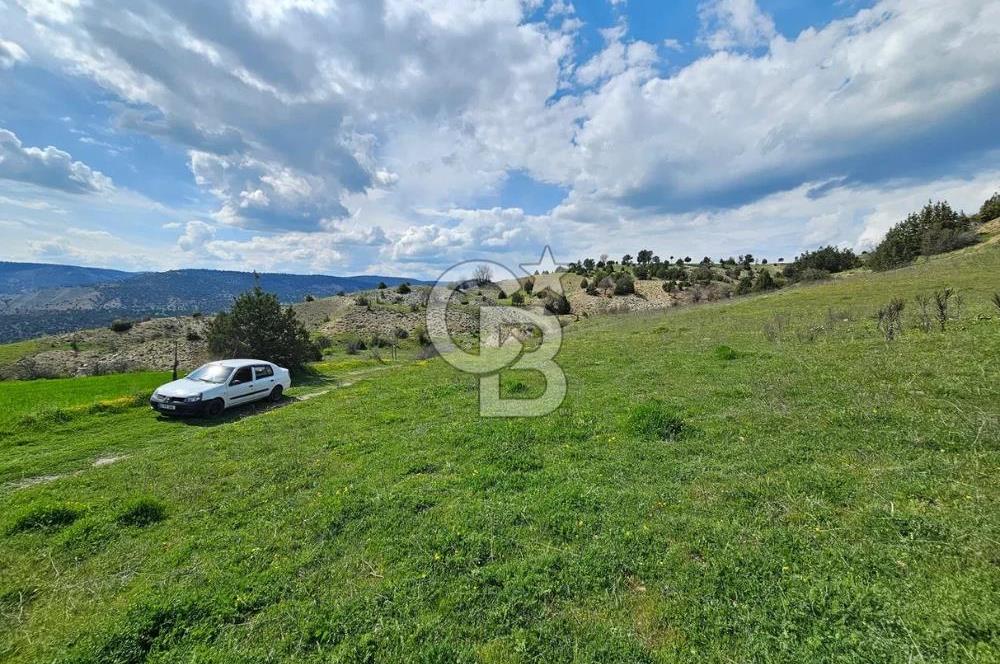 ŞOK ACİL SATILIK! SEBEN'DE KAMPÜS YAKINI 6.500 m²