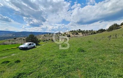 ŞOK ACİL SATILIK! SEBEN'DE KAMPÜS YAKINI 6.500 m²