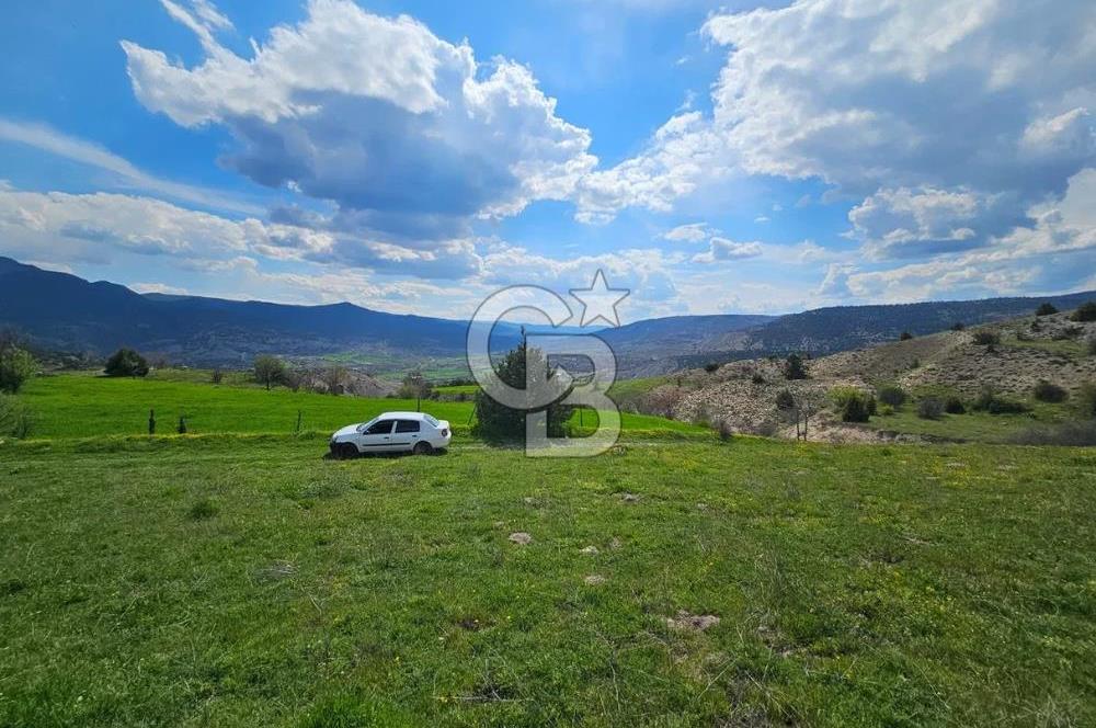 ŞOK ACİL SATILIK! SEBEN'DE KAMPÜS YAKINI 6.500 m²