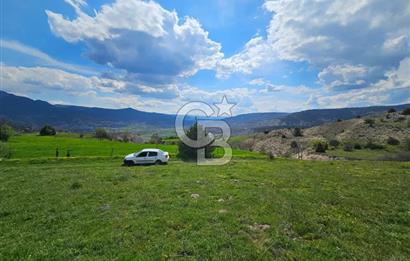 ŞOK ACİL SATILIK! SEBEN'DE KAMPÜS YAKINI 6.500 m²