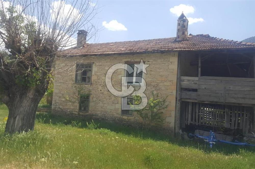 Denizli Çameli Sarıkavakta 13 Dönüm Taş Evli Fırsat Özel Mülk