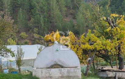 Denizli Çameli Sarıkavakta 13 Dönüm Taş Evli Fırsat Özel Mülk