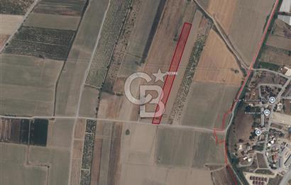 AKSU SOLAK'DA TARIMA VE YATIRIMA UYGUN 12.380 m2 TARLA