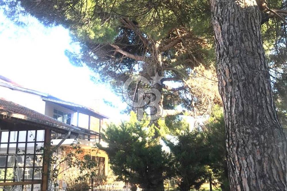 Marmara Ereğli'sinde denize komşu müstakil villa