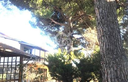 Marmara Ereğli'sinde denize komşu müstakil villa