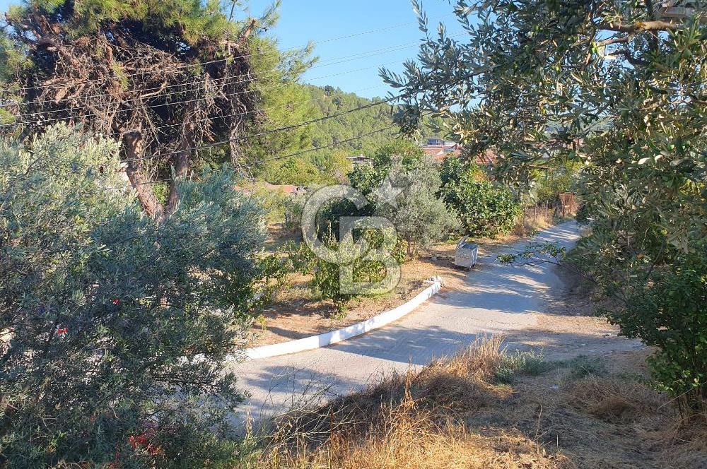 MUDANYA AYDINPINAR'DA VİLLA İMARLI ARSA