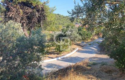 MUDANYA AYDINPINAR'DA VİLLA İMARLI ARSA