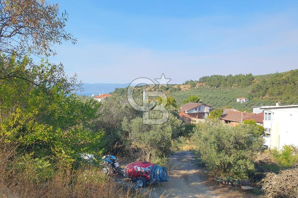 MUDANYA AYDINPINAR'DA VİLLA İMARLI ARSA
