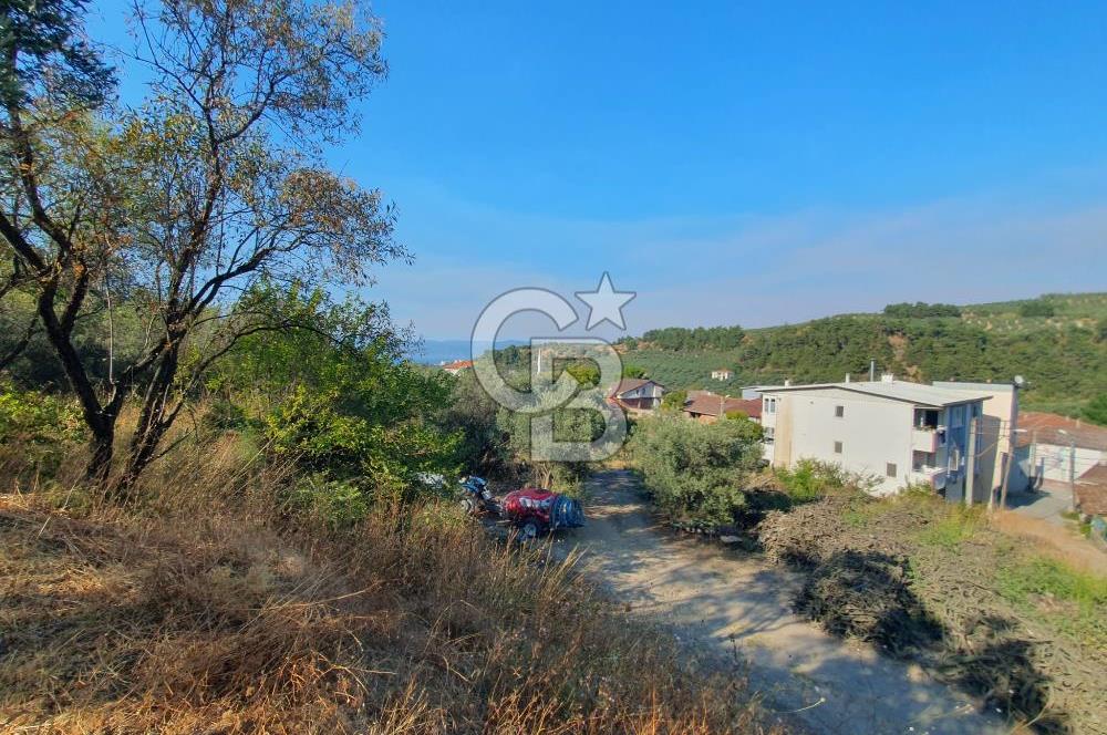 MUDANYA AYDINPINAR'DA VİLLA İMARLI ARSA