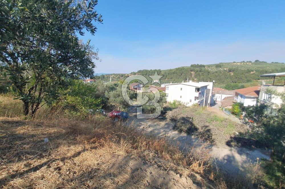 MUDANYA AYDINPINAR'DA VİLLA İMARLI ARSA