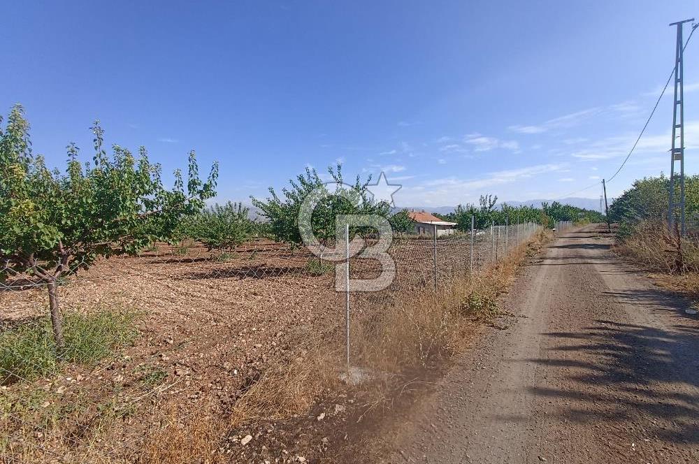 COLDWELL BANKER SAFİR'den AKÇADAĞ da 7995 m² SATILIK TARLA