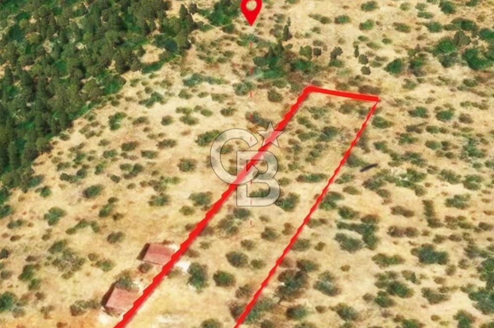 KAŞ GÖKÇEÖREN'DE MUHTEŞEM DENİZ VE DOĞA MANZARALI 4.263 m² TARLA
