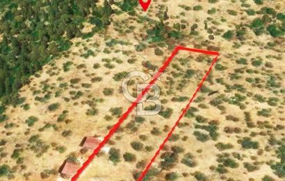 KAŞ GÖKÇEÖREN'DE MUHTEŞEM DENİZ VE DOĞA MANZARALI 4.263 m² TARLA