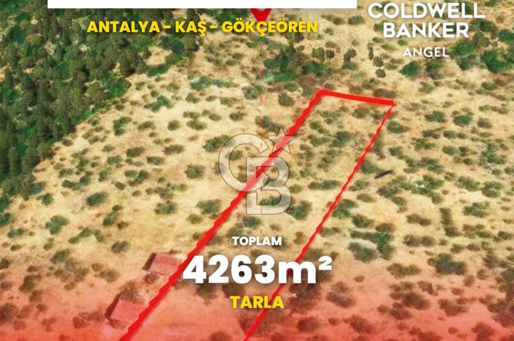 KAŞ GÖKÇEÖREN'DE MUHTEŞEM DENİZ VE DOĞA MANZARALI 4.263 m² TARLA