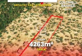KAŞ GÖKÇEÖREN'DE MUHTEŞEM DENİZ VE DOĞA MANZARALI 4.263 m² TARLA - 3 - 374605