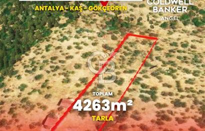 KAŞ GÖKÇEÖREN'DE MUHTEŞEM DENİZ VE DOĞA MANZARALI 4.263 m² TARLA