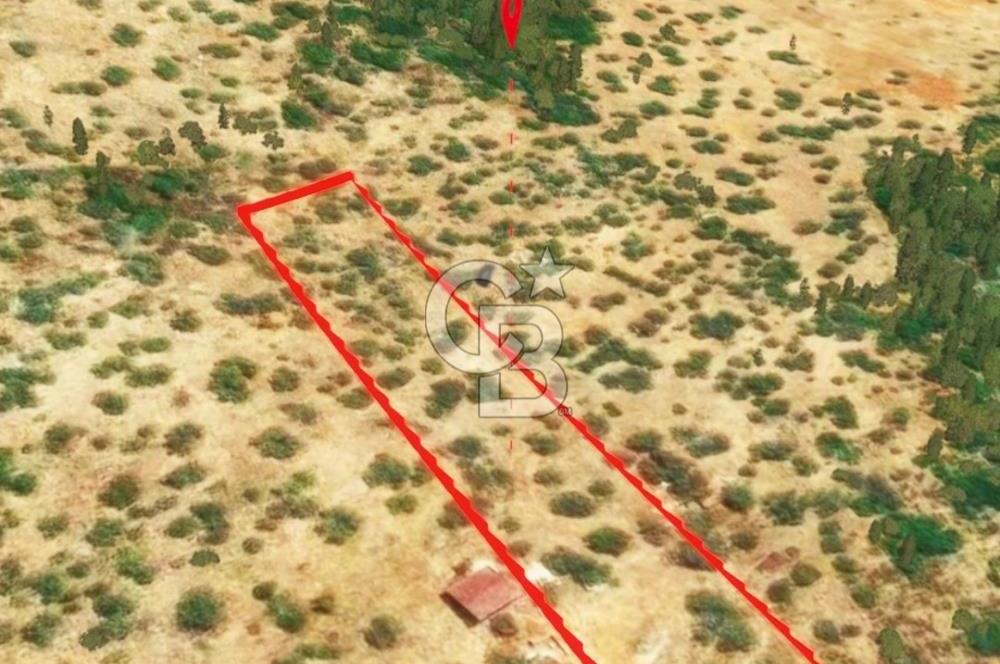KAŞ GÖKÇEÖREN'DE MUHTEŞEM DENİZ VE DOĞA MANZARALI 4.263 m² TARLA