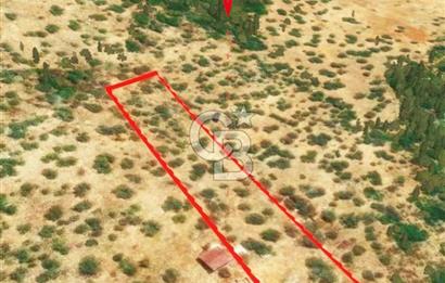 KAŞ GÖKÇEÖREN'DE MUHTEŞEM DENİZ VE DOĞA MANZARALI 4.263 m² TARLA