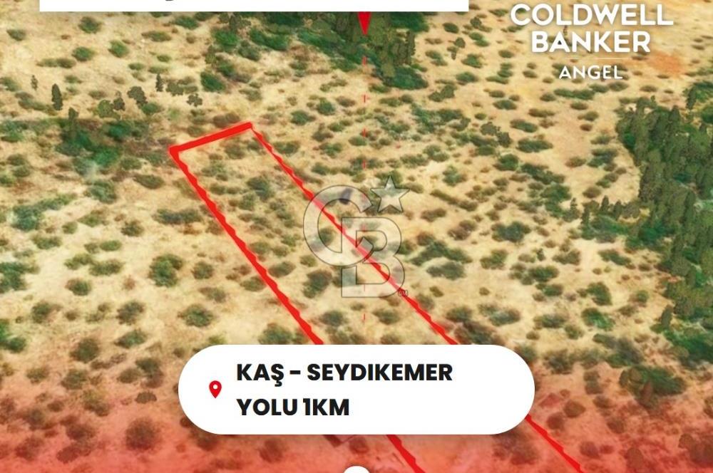 KAŞ GÖKÇEÖREN'DE MUHTEŞEM DENİZ VE DOĞA MANZARALI 4.263 m² TARLA
