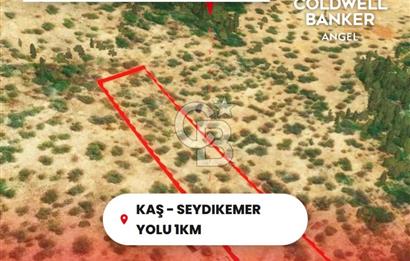KAŞ GÖKÇEÖREN'DE MUHTEŞEM DENİZ VE DOĞA MANZARALI 4.263 m² TARLA