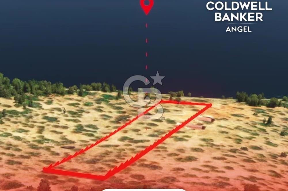 KAŞ GÖKÇEÖREN'DE MUHTEŞEM DENİZ VE DOĞA MANZARALI 4.263 m² TARLA