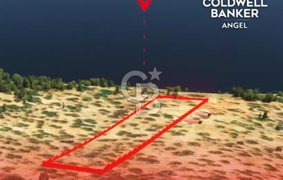 KAŞ GÖKÇEÖREN'DE MUHTEŞEM DENİZ VE DOĞA MANZARALI 4.263 m² TARLA