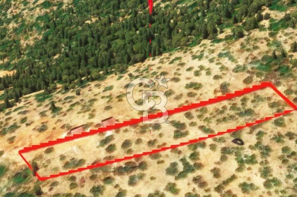 KAŞ GÖKÇEÖREN'DE MUHTEŞEM DENİZ VE DOĞA MANZARALI 4.263 m² TARLA