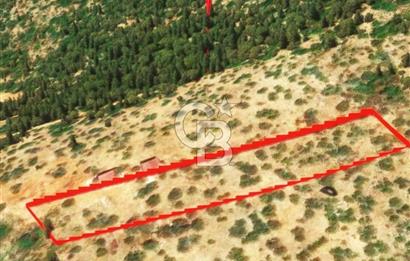 KAŞ GÖKÇEÖREN'DE MUHTEŞEM DENİZ VE DOĞA MANZARALI 4.263 m² TARLA