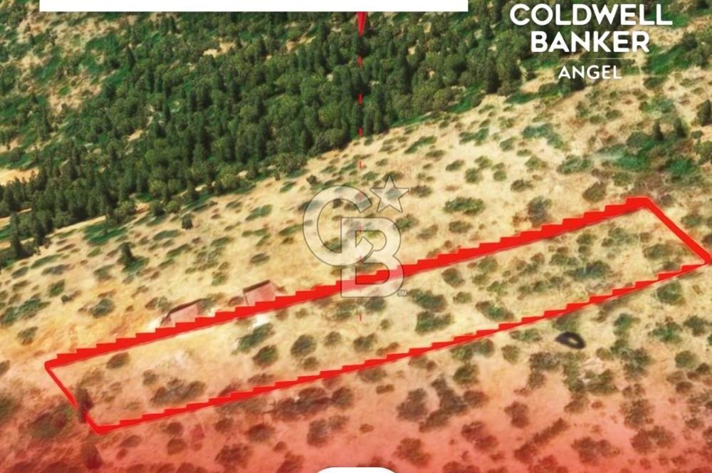 KAŞ GÖKÇEÖREN'DE MUHTEŞEM DENİZ VE DOĞA MANZARALI 4.263 m² TARLA