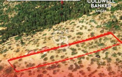 KAŞ GÖKÇEÖREN'DE MUHTEŞEM DENİZ VE DOĞA MANZARALI 4.263 m² TARLA