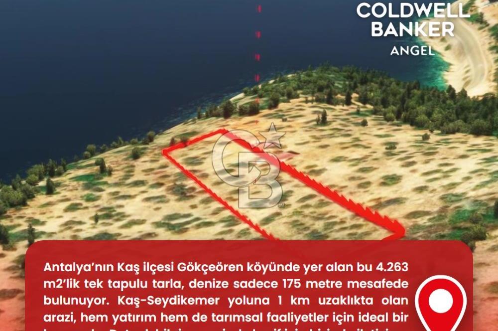 KAŞ GÖKÇEÖREN'DE MUHTEŞEM DENİZ VE DOĞA MANZARALI 4.263 m² TARLA